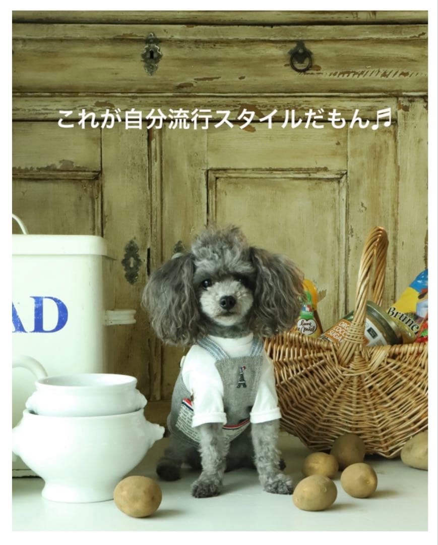 アトリエgg エプロン　グロッサリーエプロン