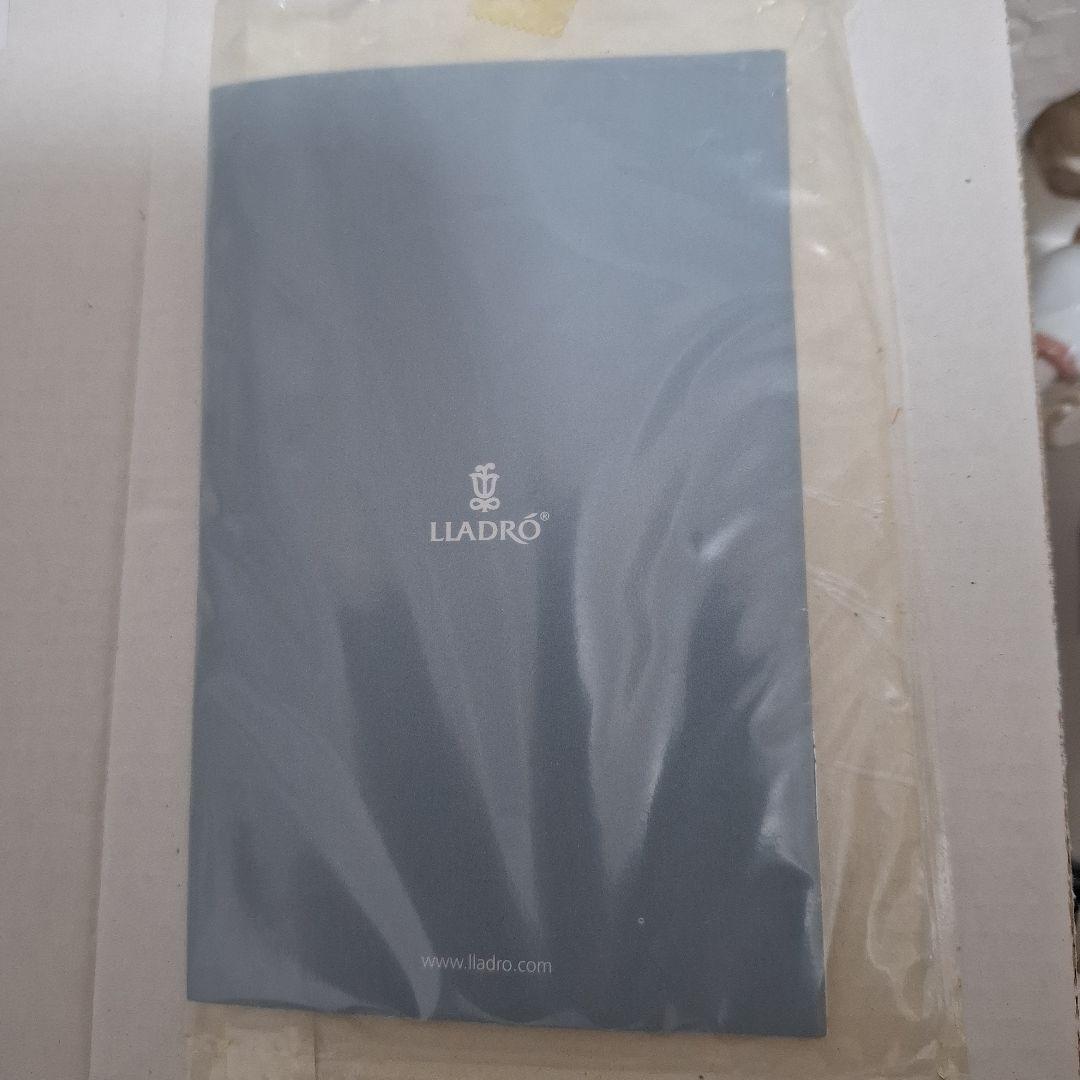 LIADRO サッカー少年 陶器