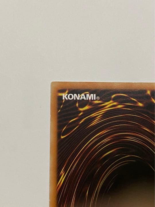 遊戯王 竜騎士ブラックマジシャンガール 新シク