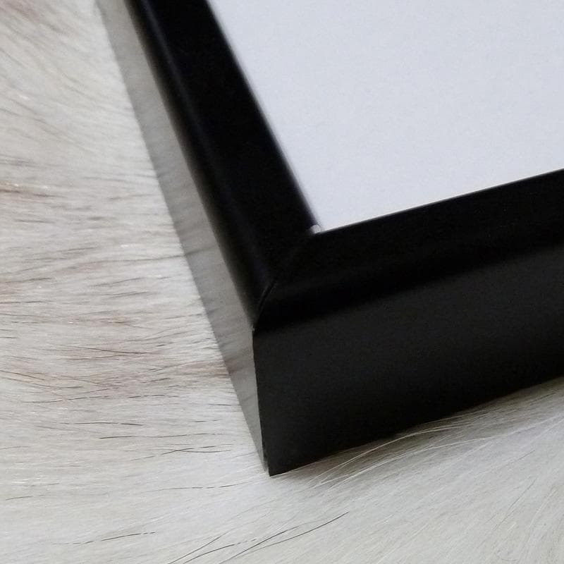 限定マット額装品/Kaws and David Sims Kate Moss 4