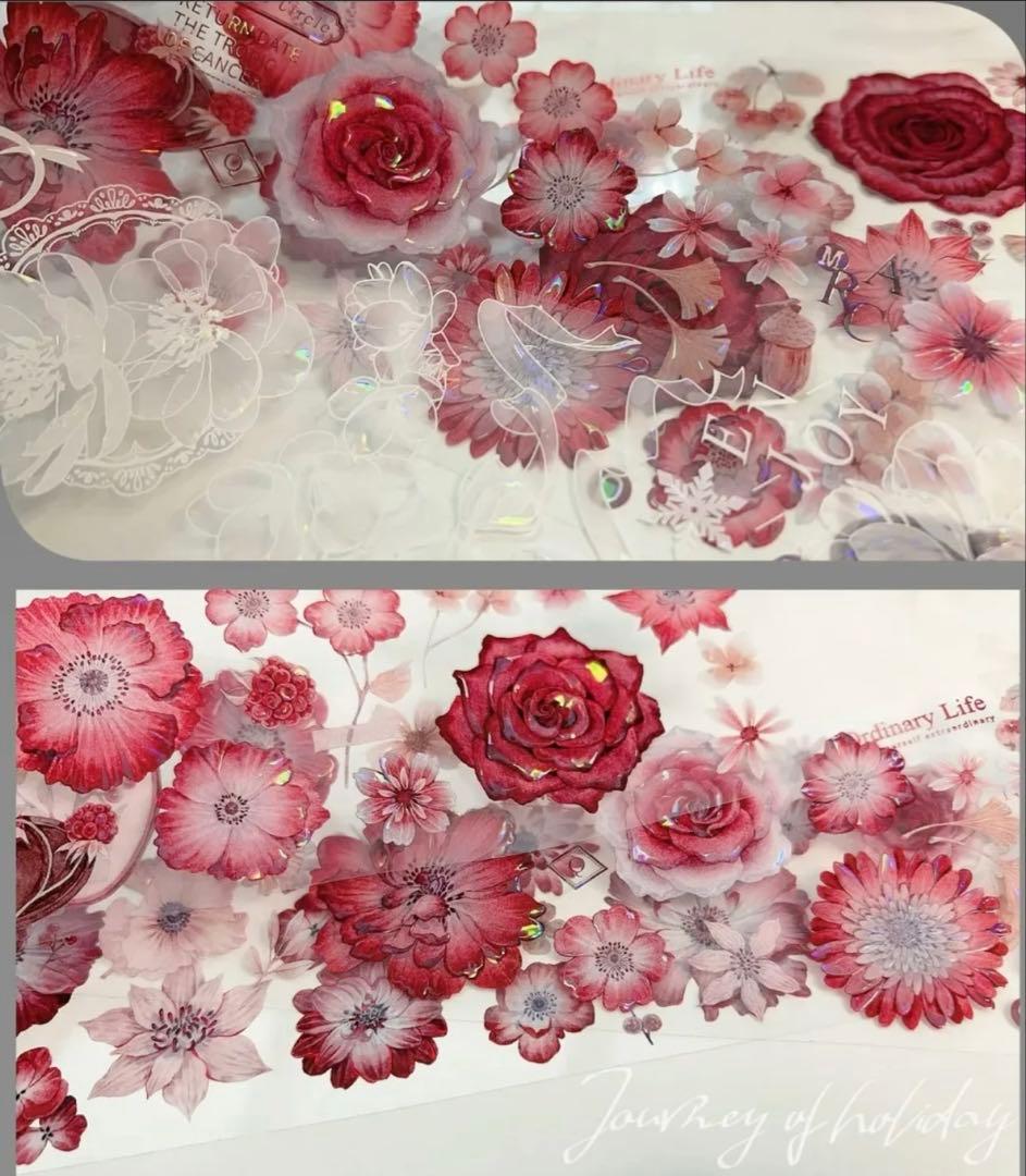 贝壳光 伴丝绒 6cm×5m 海外マスキングテープ　海外マステ　花