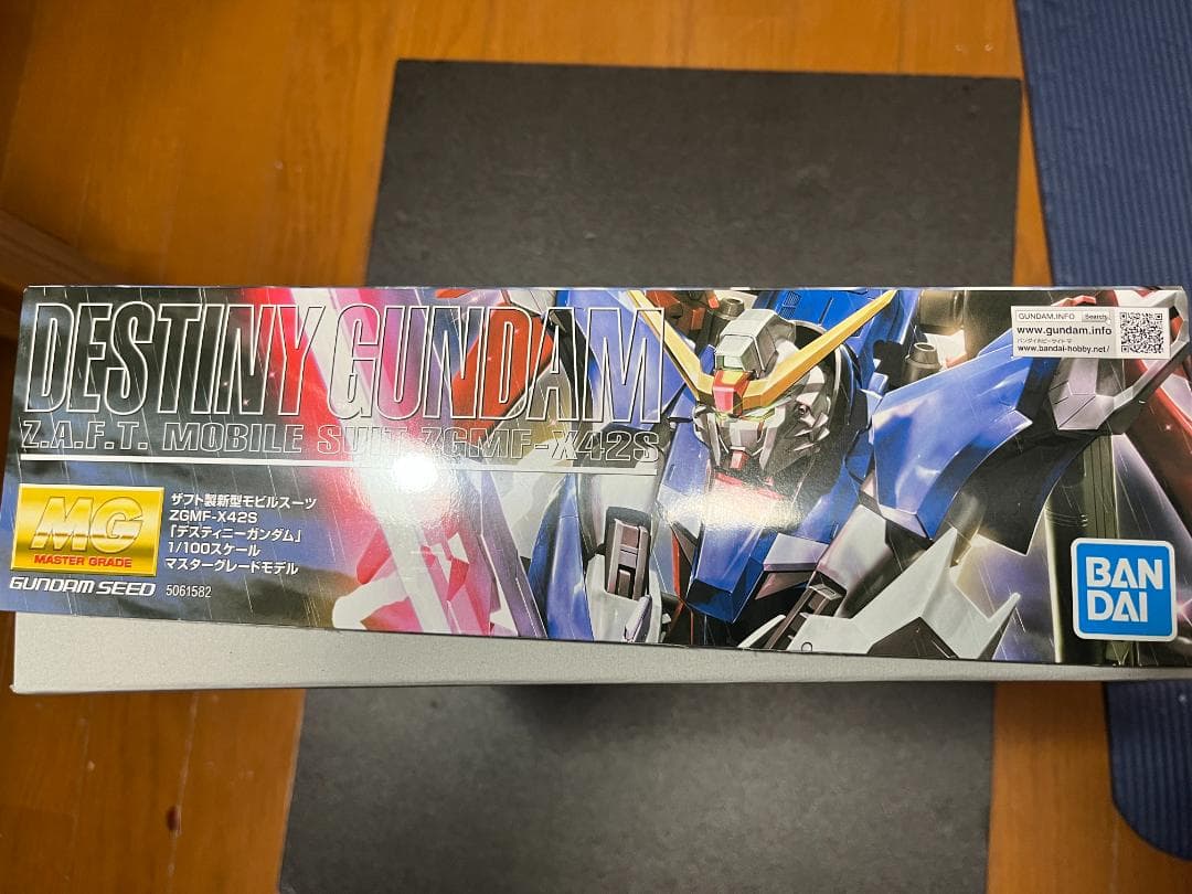 MG 1/100 デスティニーガンダム 新品