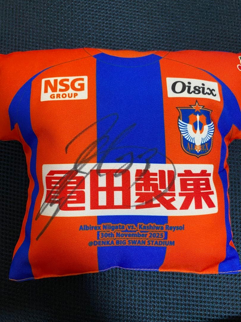 アルビレックス新潟　高木善朗　直筆サイン入り　クッション