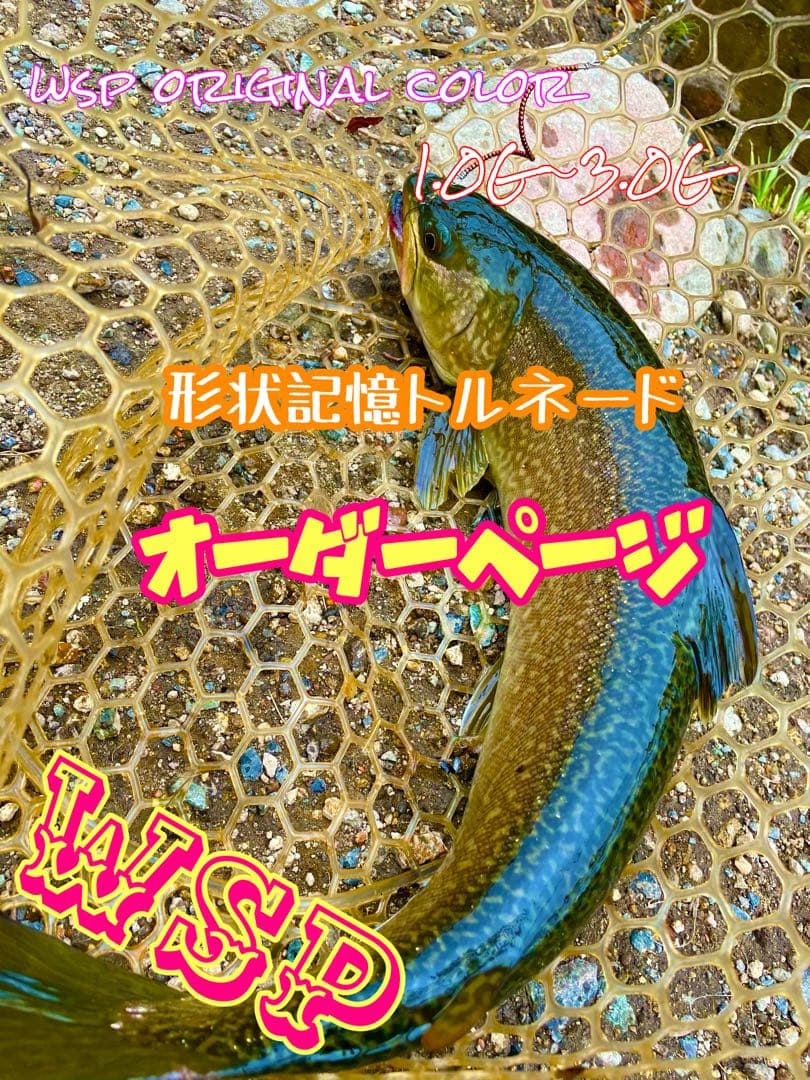 【オーダー受付ページ】WSP 形状記憶　数釣り最強！超万能ルアー