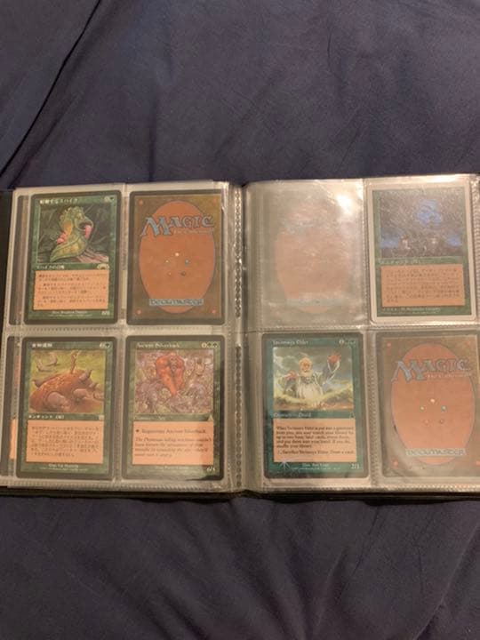 【セット売り】マジック・ザ・ギャザリング