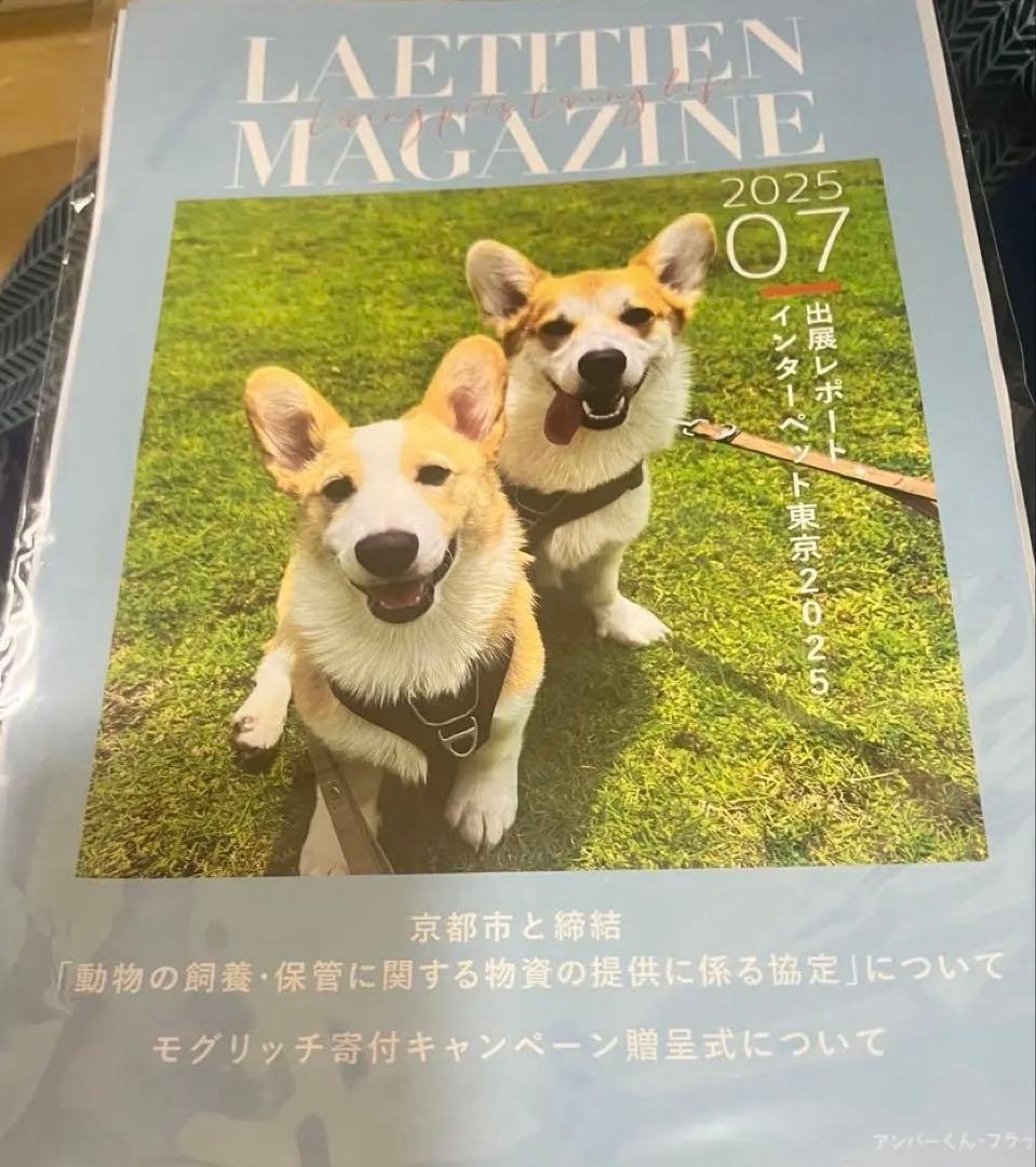 ドッグフード　ネルソンズ　5キロ×3セット