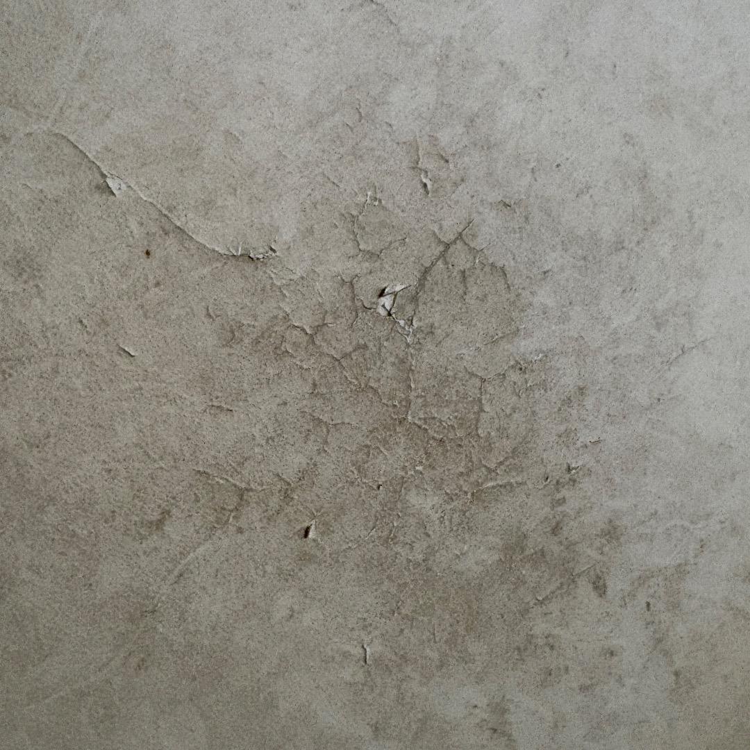 桶胴太鼓 革 約2尺1寸(直径63.5cm)15穴