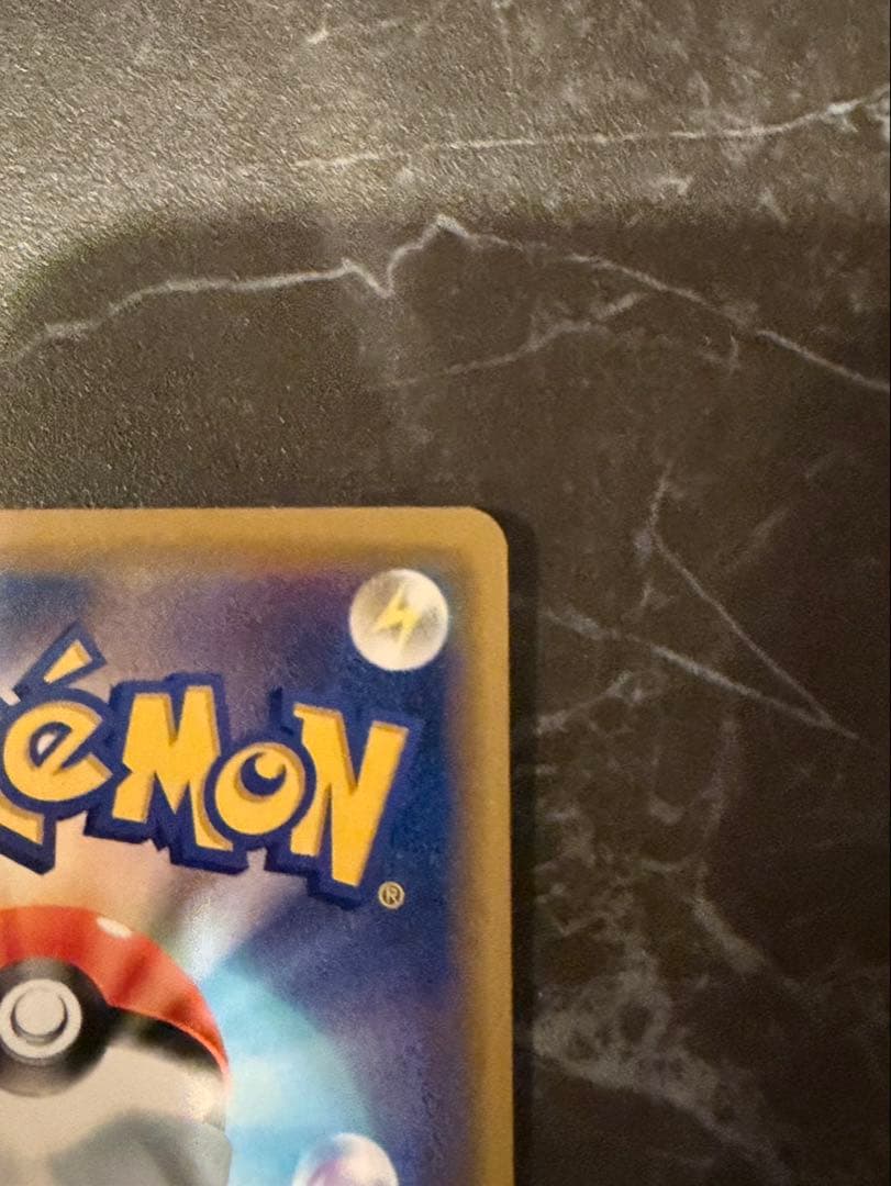 海で遊ぶピカチュウ