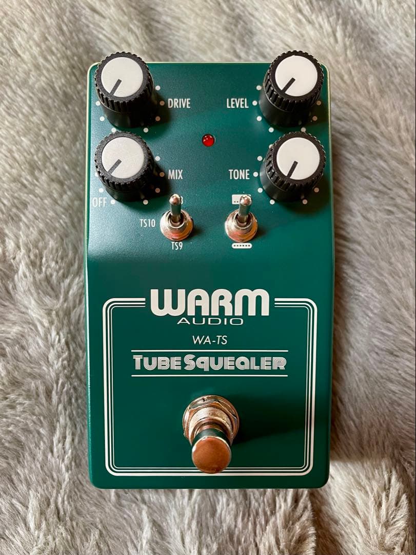 ギター WARM AUDIO TUBE SQUEALER