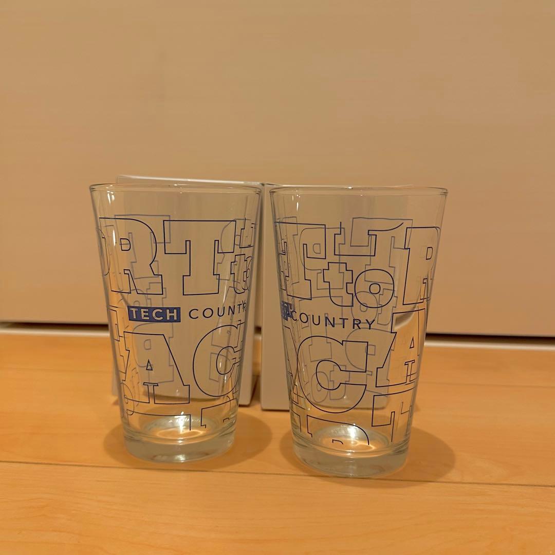 極レア TARPtoTARP TARP GLASS TECH ver