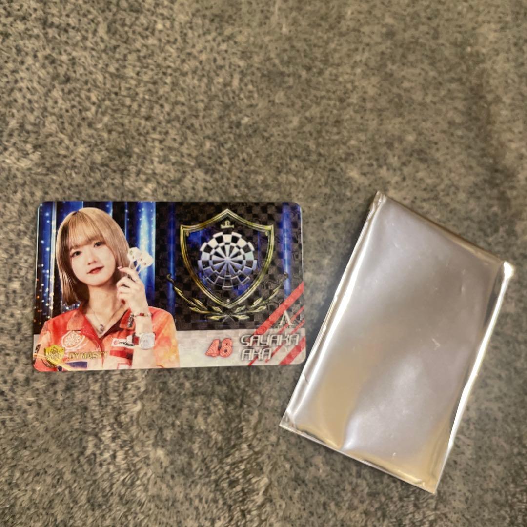 ★新品☆ 非売品 DYNASTY 限定 DARTSLIVEカード 阿嘉紗香選手