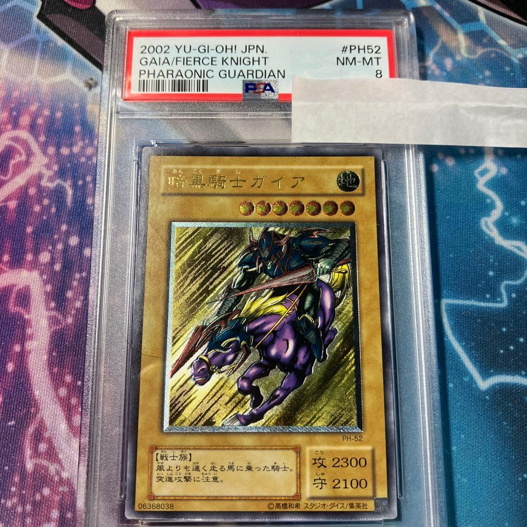 暗黒騎士ガイア　レリーフ　psa8