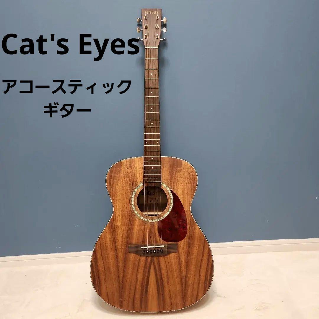 【未使用品】 キャッツアイ アコースティック・ギター カバー付き CE55T-K