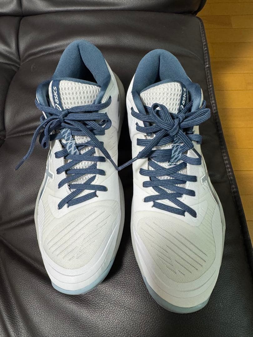 シューズ SKY ELITE FF MT 3