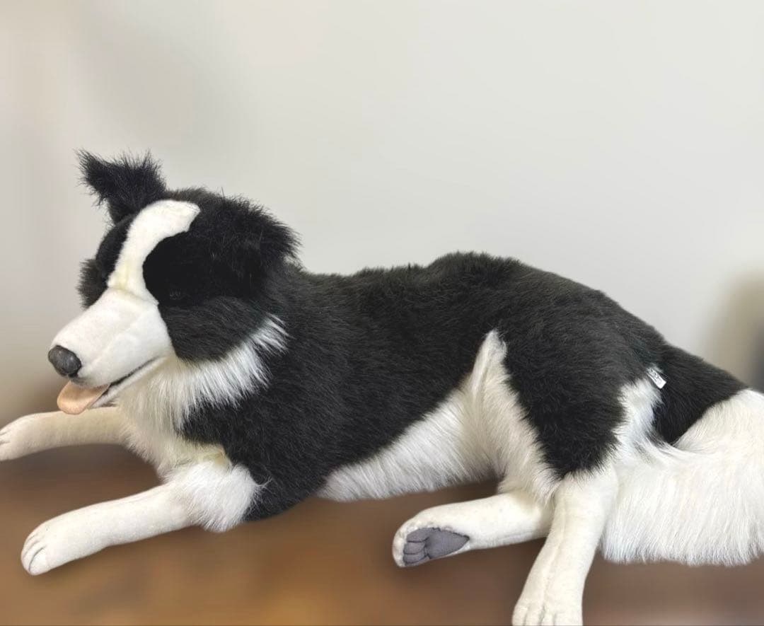 HANSA ボーダーコリー　等身大　ぬいぐるみ　リアル