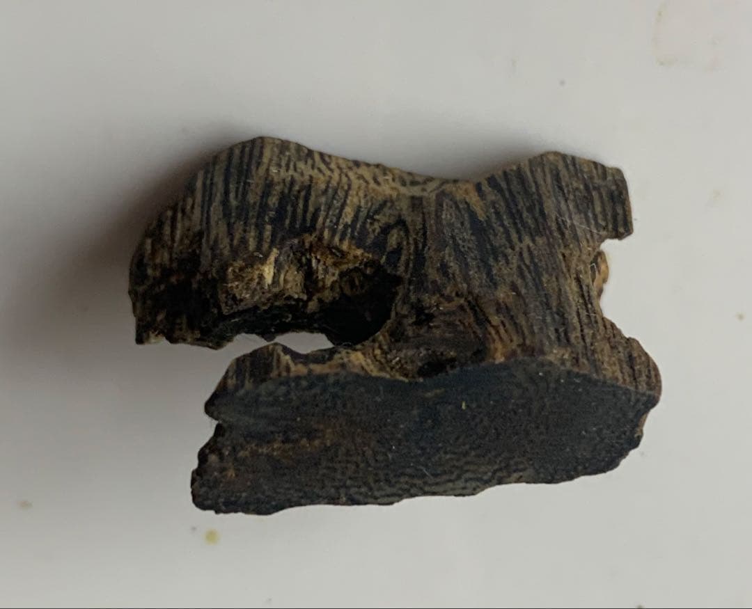 極上緑油伽羅 沈香 香木 沈香線香 緑油伽羅 重さ:2g 限定価格