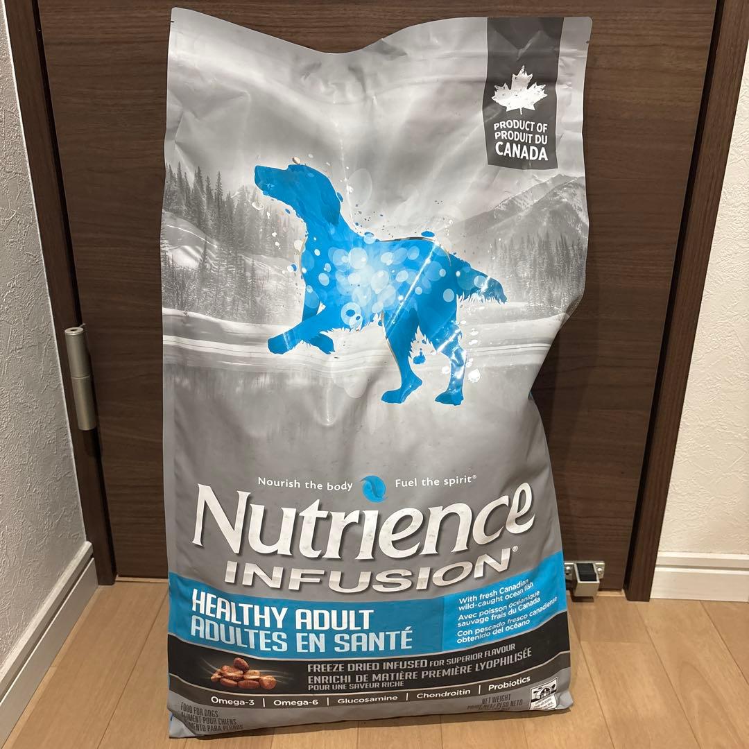 Nutrience Infusion Healthy Adult ドッグフード