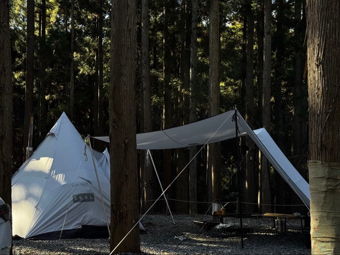 『別注』tent-Mark DESIGNS×EKAL サーカスTCDXプラス