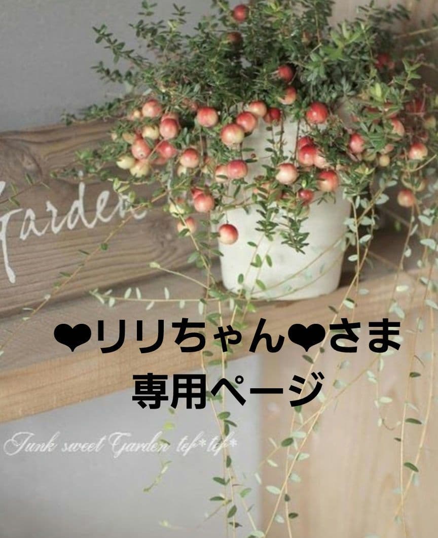 ❤︎リリちゃん❤︎ページです•*¨*•.¸¸☆