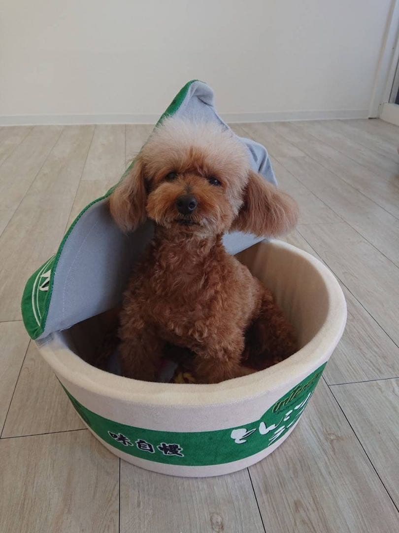 スピーディクの業務用ペットバリカン替え刃 6個セット