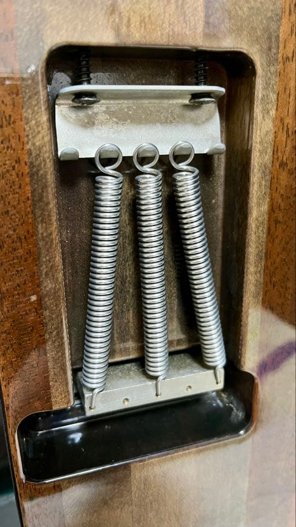 ESPエレキギター PIERROTアイジモデル(001)-560P 定価56万円