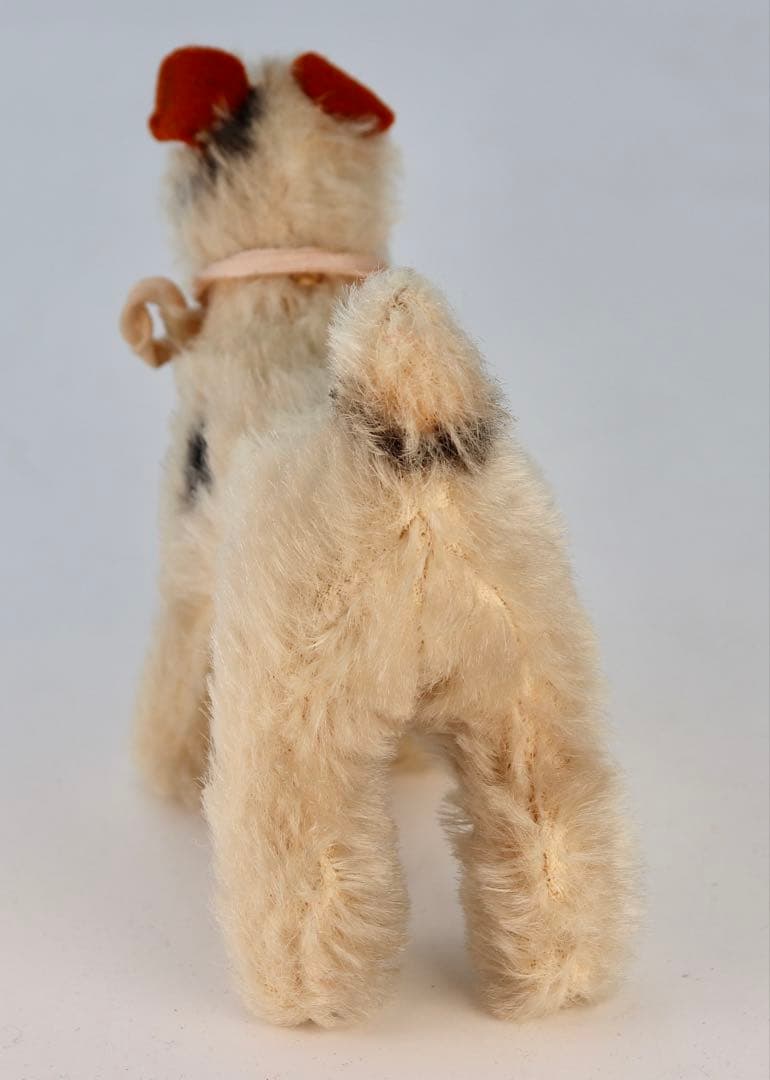 1954 FoxyTerrier シュタイフ・ビンテージ品 10cm ボタン無し