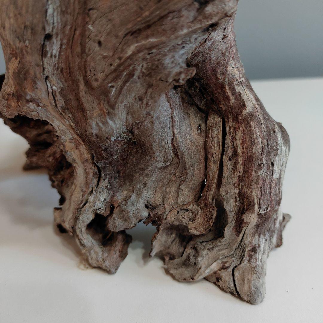 ホーンウッド アクアリウム 爬虫類 登り木 流木 w22×d12×h27