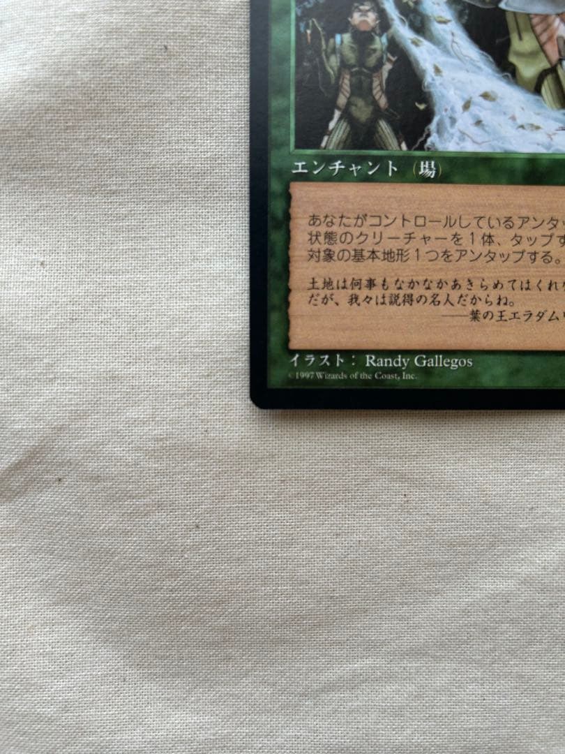 大地の知識　MTG