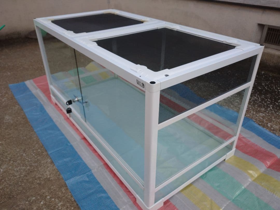 爬虫類ゲージ 引き取り