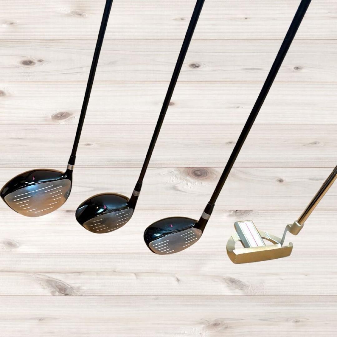 【おまけ付】ワールドイーグル FL-01 V2 10本セット クラブ ゴルフ