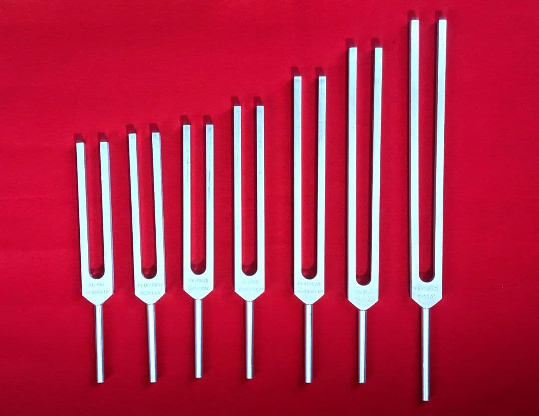 みんと⭐︎プロフィール必読