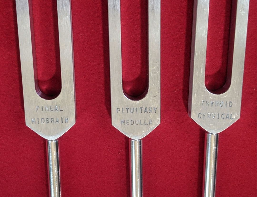 みんと⭐︎プロフィール必読