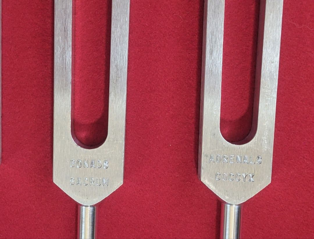 みんと⭐︎プロフィール必読