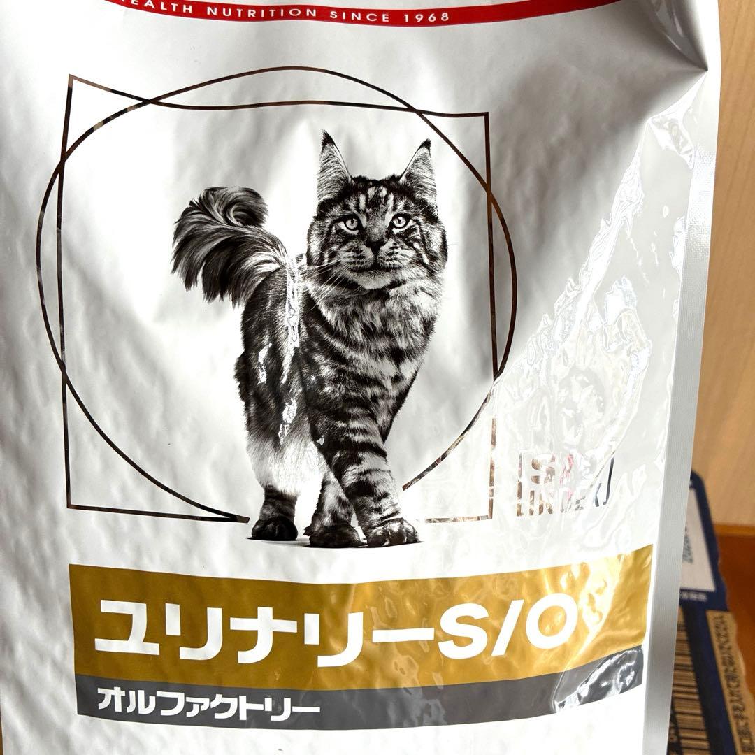  CANIN ユリナリー-S/O 猫用 療法食