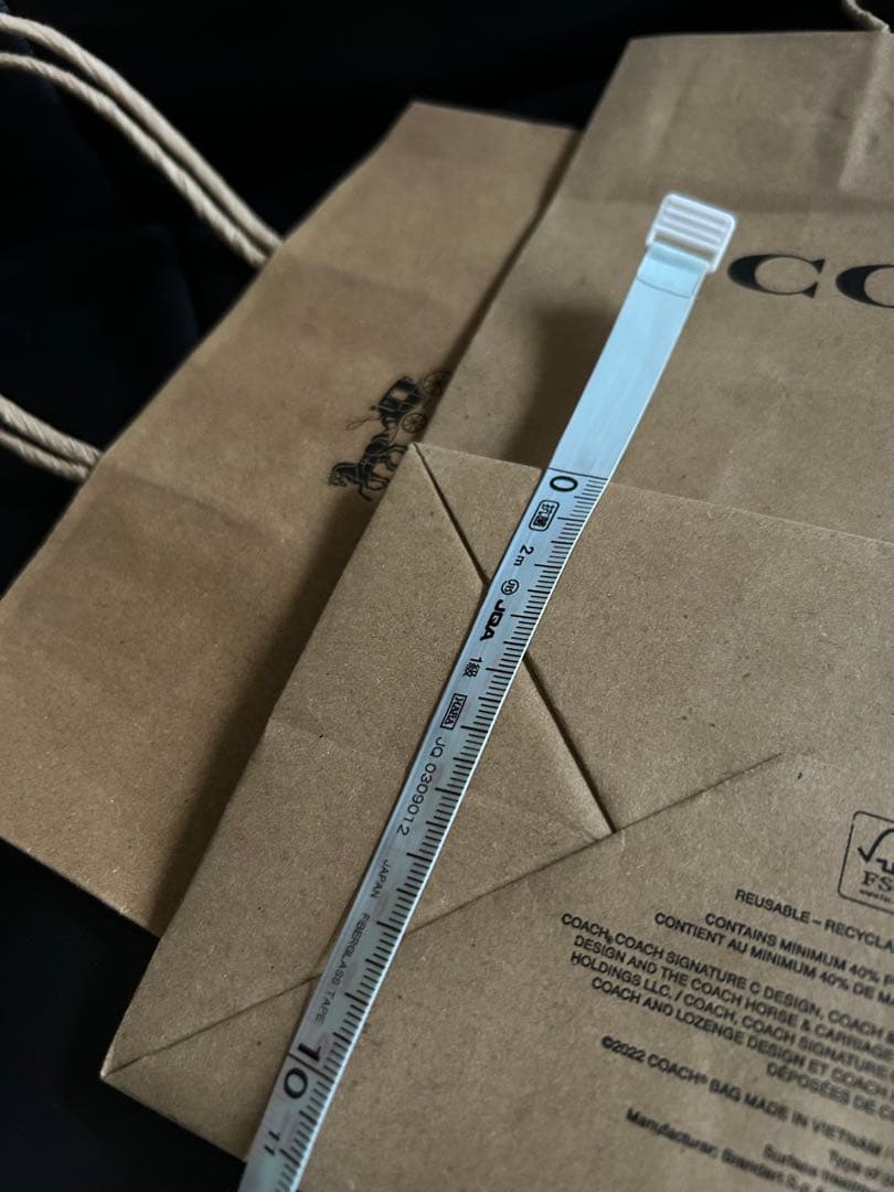 LOUIS VUITTON & COACH (２枚) ショッパー