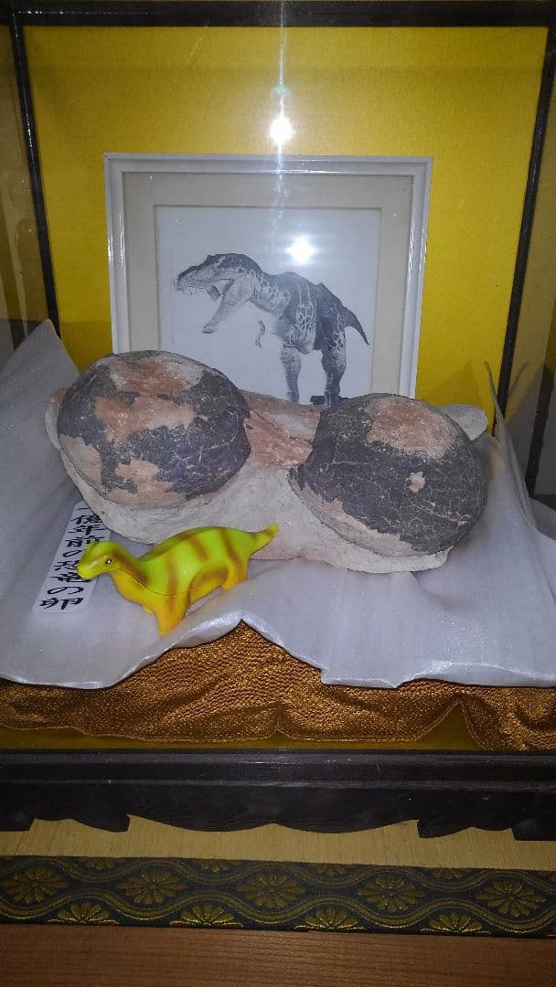 恐竜の卵　1億年前の天然化石