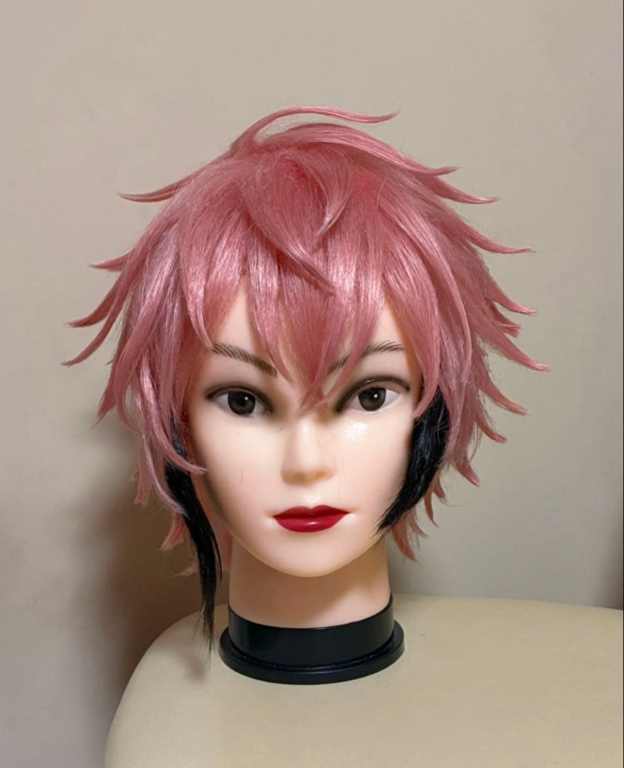 にじさんじ 赤城ウェン コスプレ ウィッグ