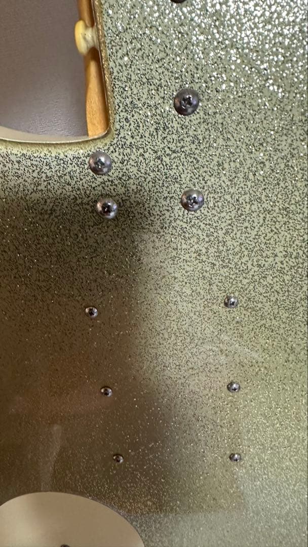 M*a様 DANELECTRO エレキギター ゴールド