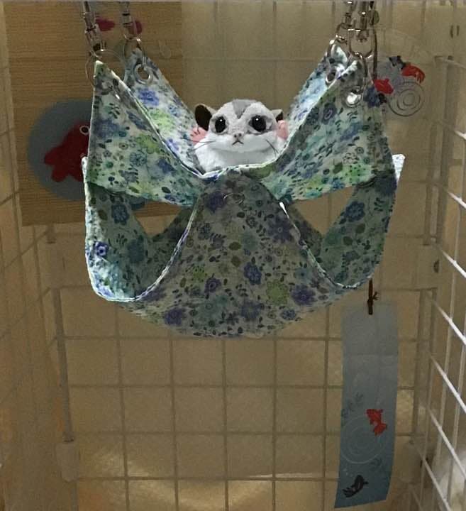 モモンガハウス(花柄ver.5)夏仕様  涼しい夏生地を使用❗️ 1700円