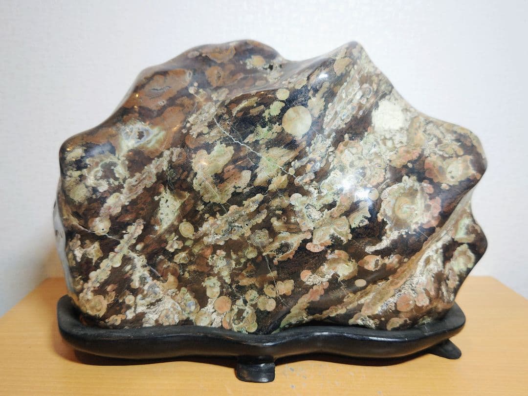 梅花石 22.8kg 紋石 牡丹石 菊花石 花紋石 原石 鑑賞石 自然石 水石