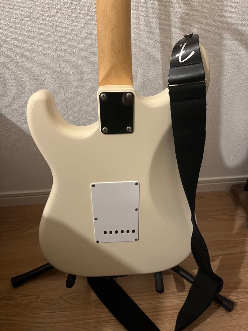 FUJIGEN BCST10RBD(ケース付き)