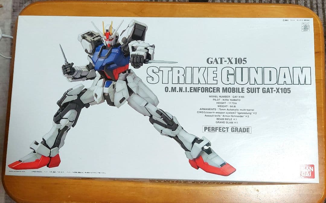 未組立　バンダイBANDAI GAT-X105 STRIKE GUNDAM PG