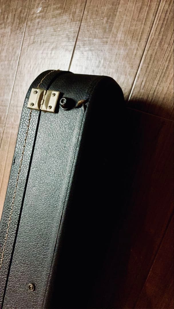 Tokai Reborn Old 1980 /LS-60:LS-80ハイブリッド