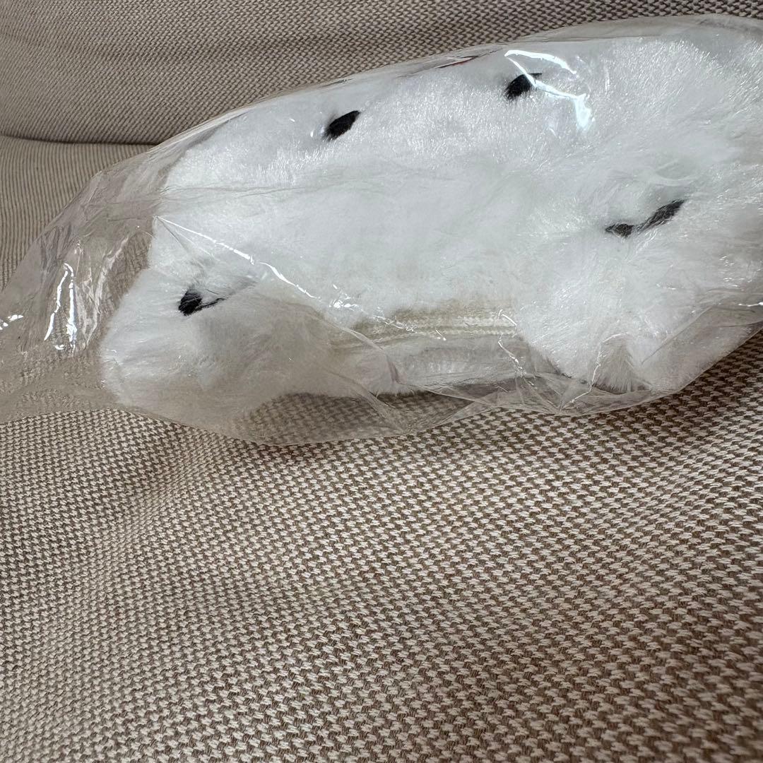 BUMP OF CHICKEN リュックとニコルポーチ