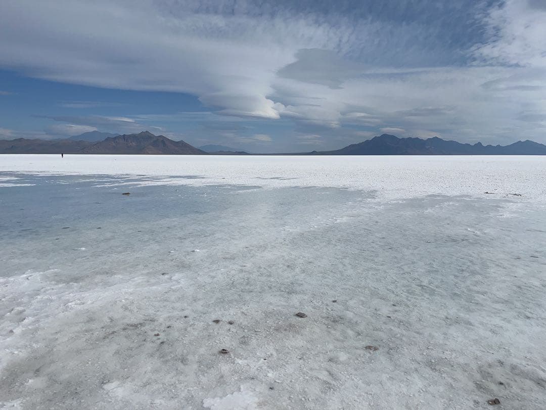 ラム　ニュースキン　製品