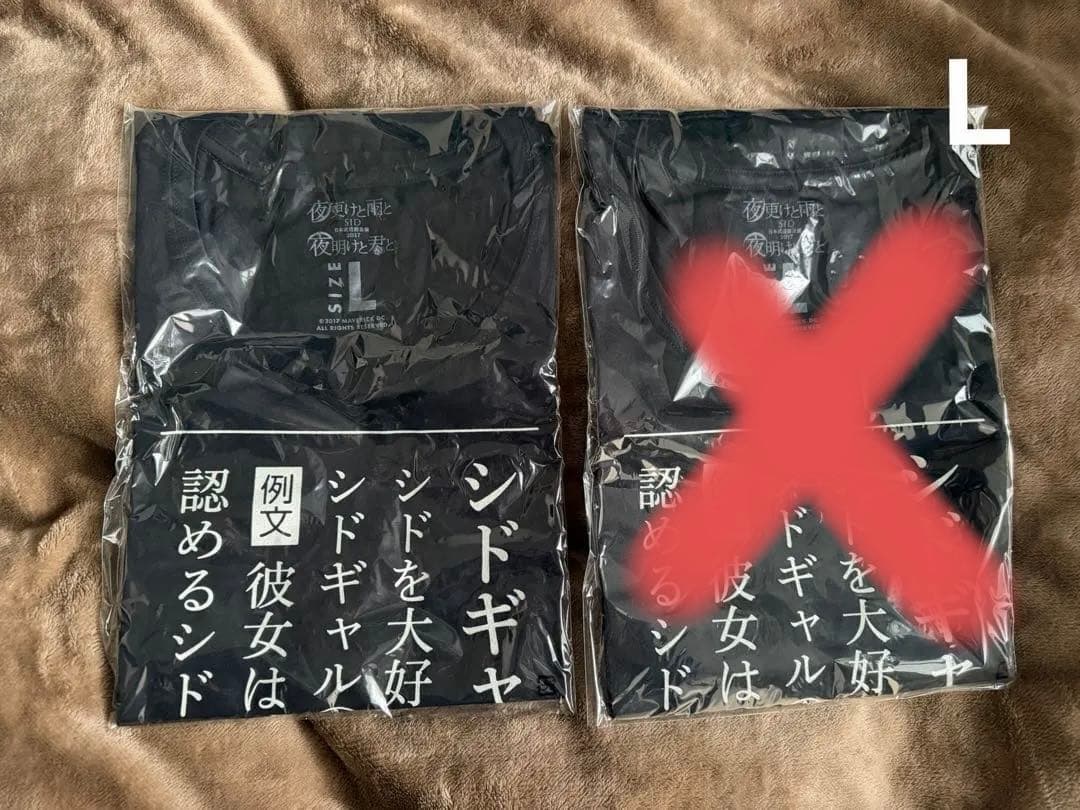 SID Tシャツ21枚セット S・M・L　シド