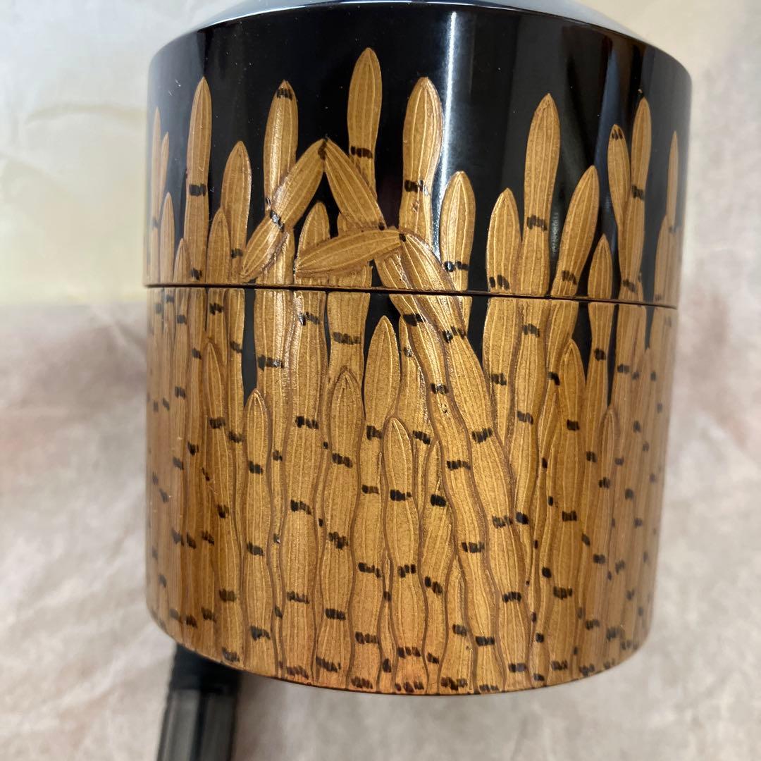 茶道具　￼棗　楽只斎好　木賊面中次　葆光斎書付　共箱　S103NT