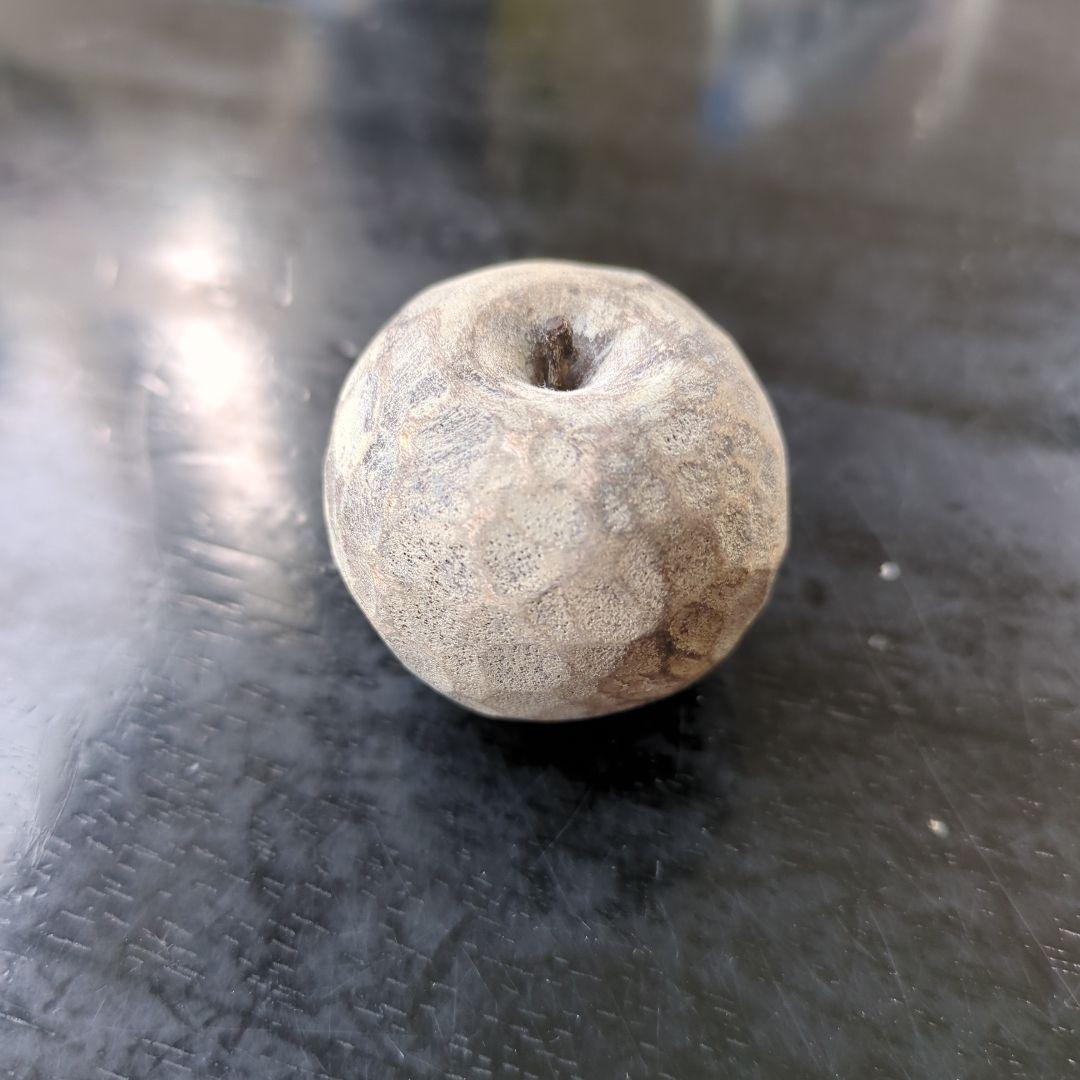 クロヌマタカトシ 林檎 オブジェ