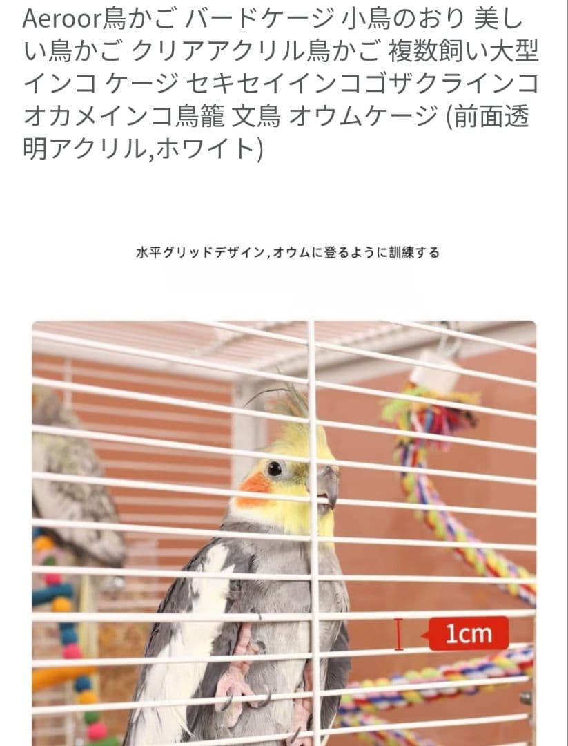 m*す様 新品 鳥カゴ 鳥かご