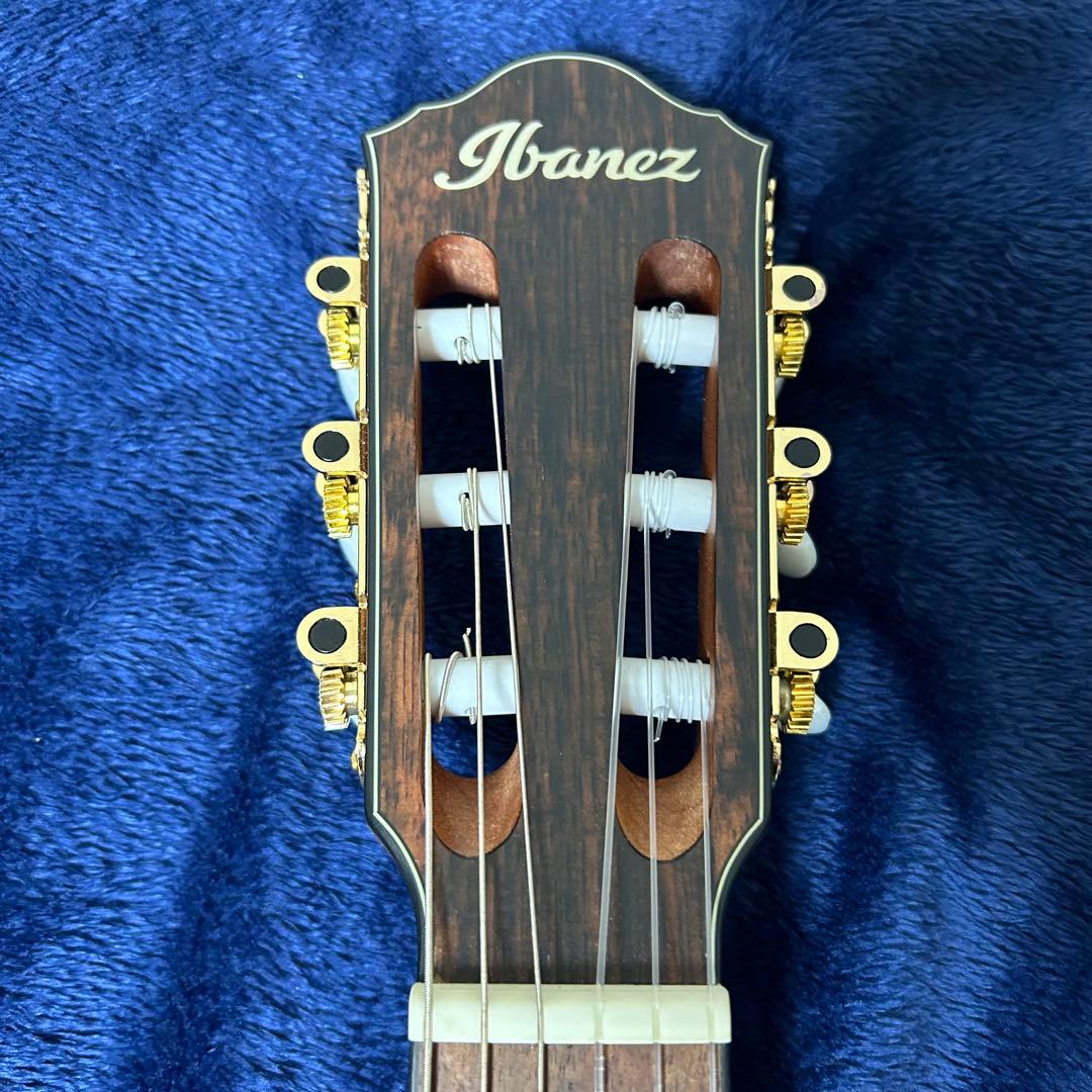 Ibanez アコースティック　エレキギター　楽器 ソフトケース付き